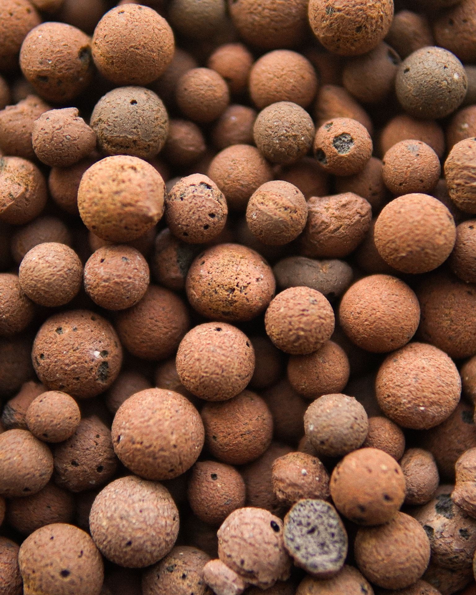 КЕРАМЗИТ PLAGRON EURO PEBBLES